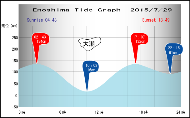 Jerry　の　Tide gragh Enoshima　