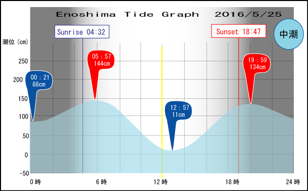 Jerry　の　Tide gragh Enoshima　