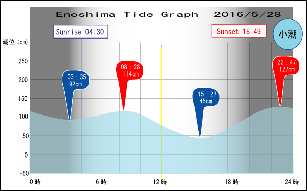 Jerry　の　Tide gragh Enoshima　
