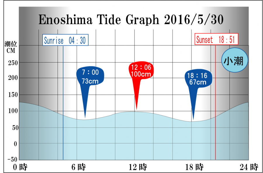 Jerry　の　Tide gragh Enoshima　