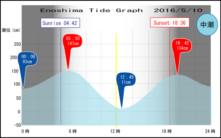 Jerry　の　Tide gragh Enoshima　