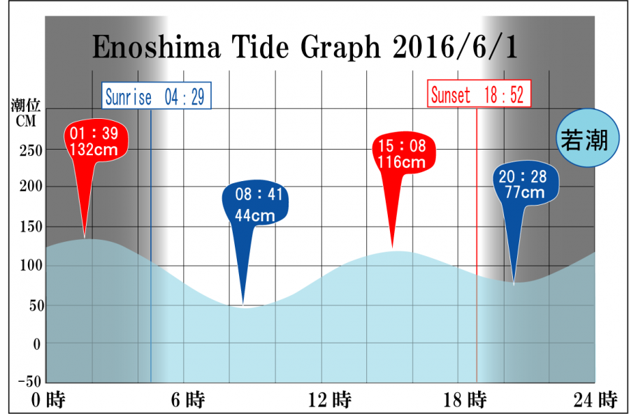 Jerry　の　Tide gragh Enoshima　