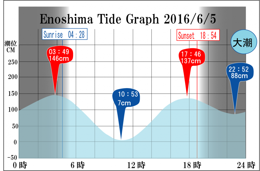 Jerry　の　Tide gragh Enoshima　