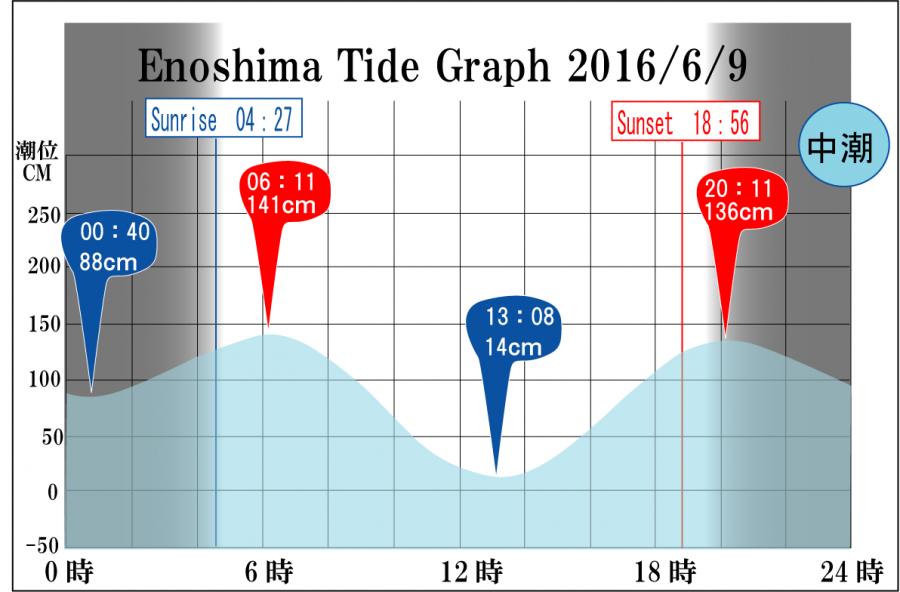 Jerry　の　Tide gragh Enoshima　
