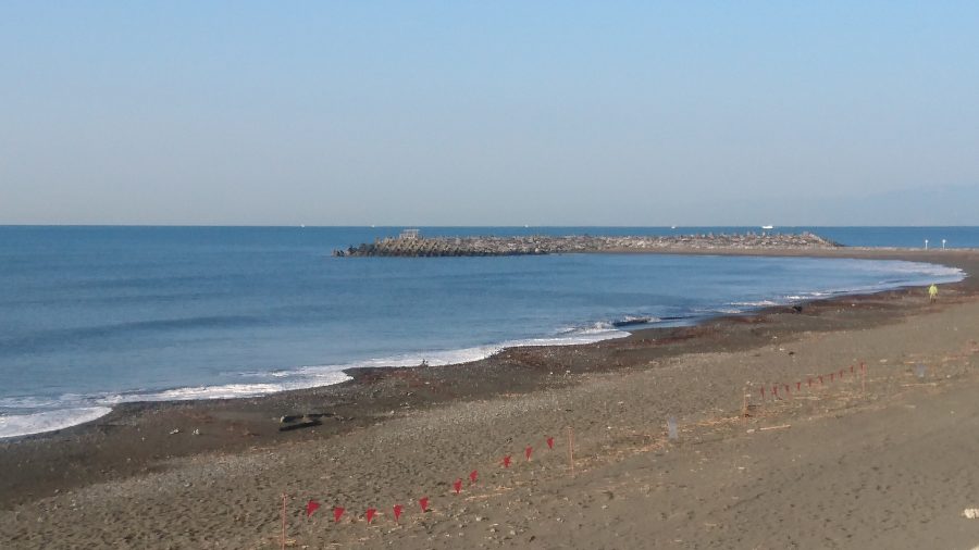速報画像