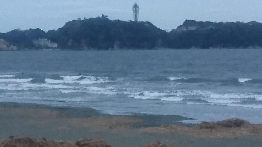 速報画像