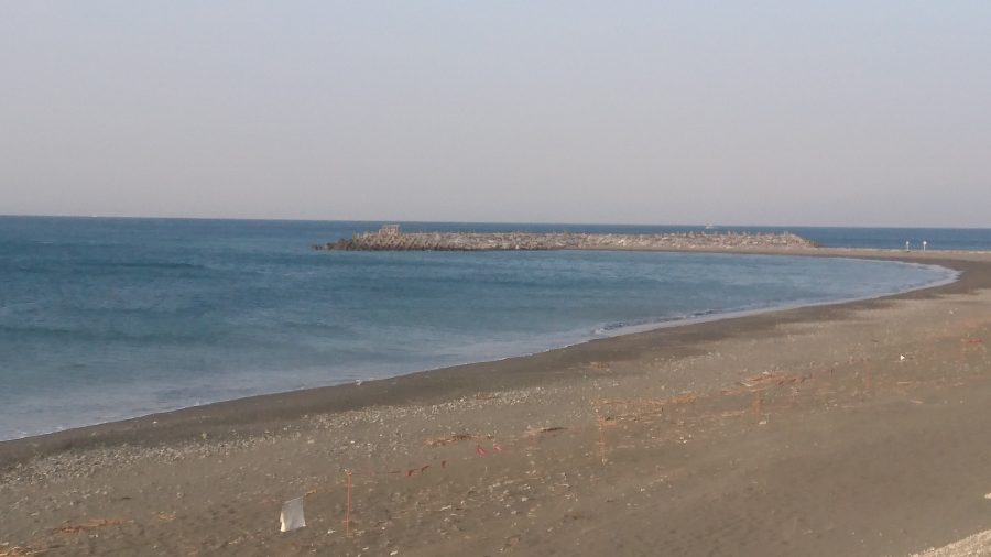 速報画像
