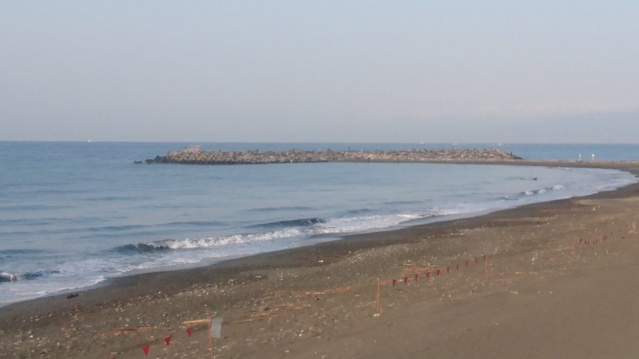 速報画像