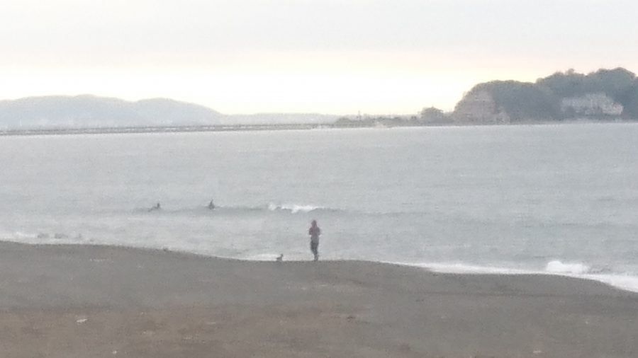 速報画像