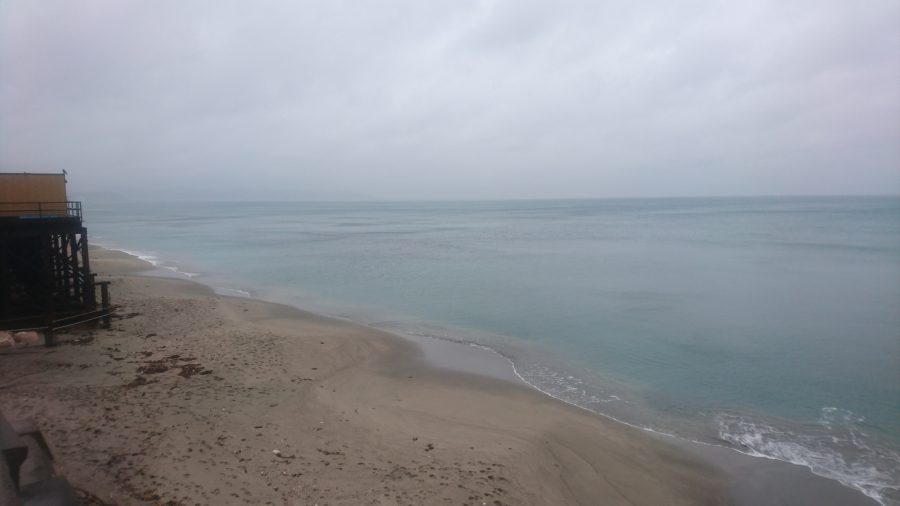 速報画像