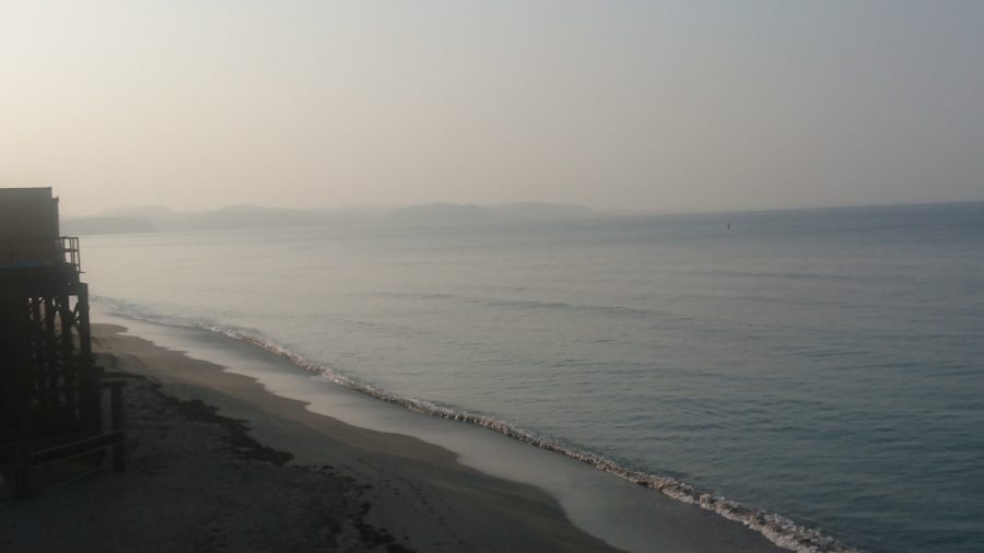 速報画像