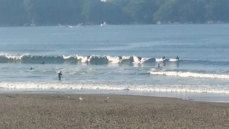 速報画像