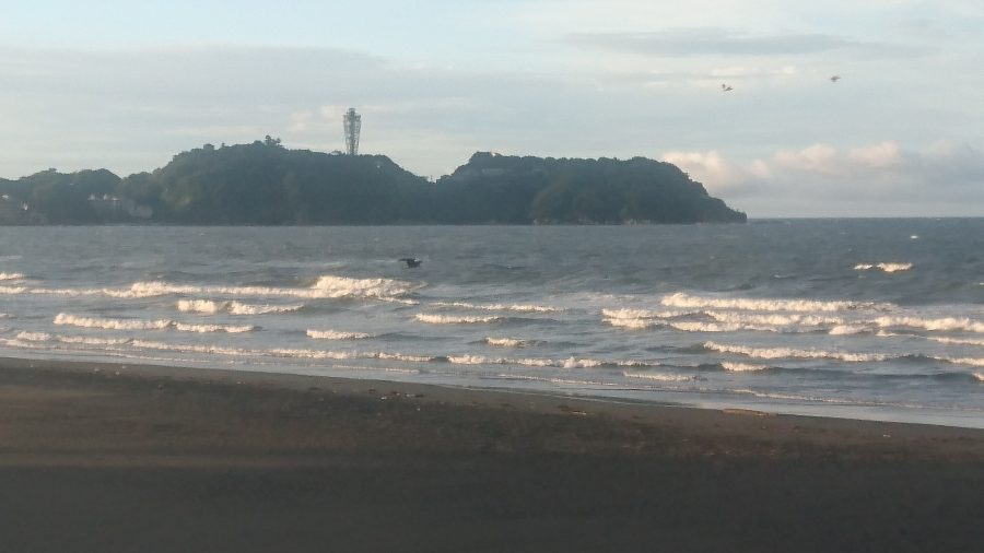 速報画像