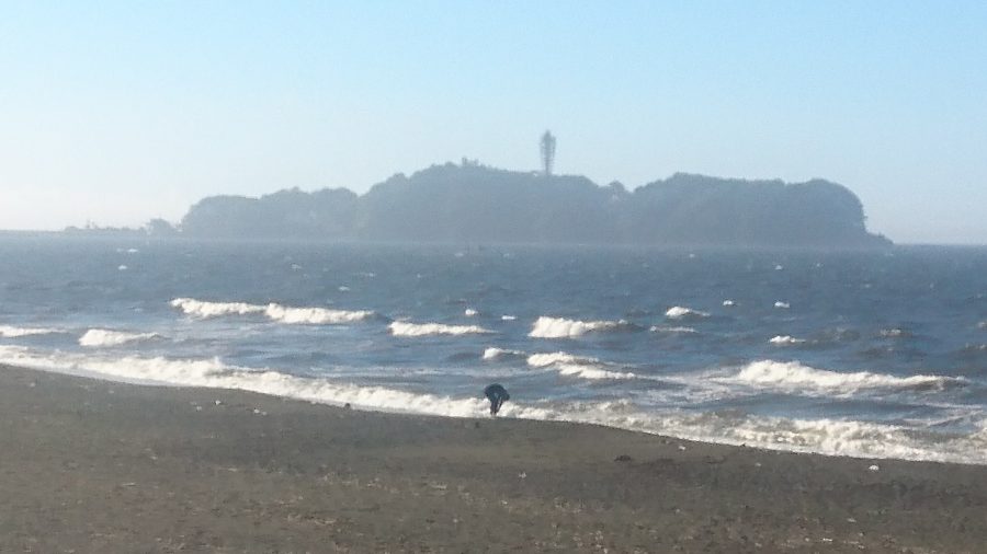 速報画像