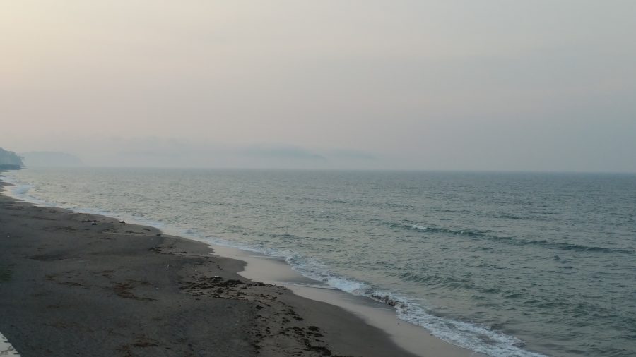 速報画像