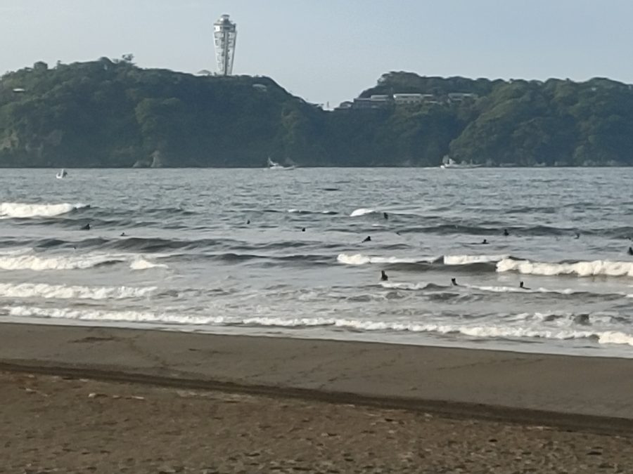 速報画像